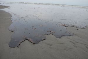 Thick_Oil_Washes_Ashore